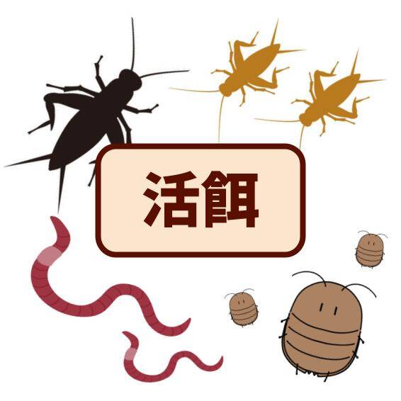 爬虫類と小動物のペットショップPROP | 株式会社PROP